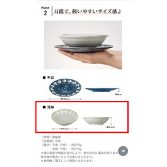 ファンケル オリジナル 美濃焼 浅鉢 2枚セットの画像