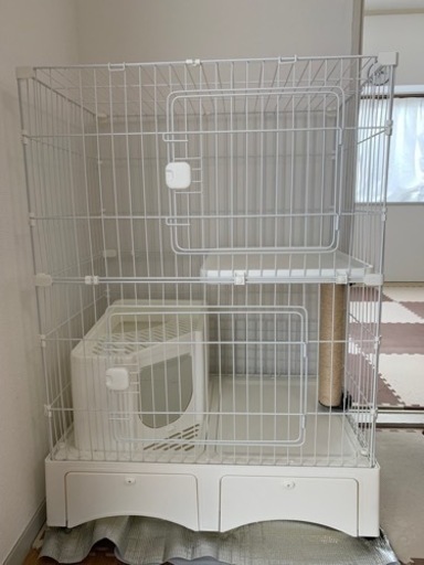 猫ゲージ