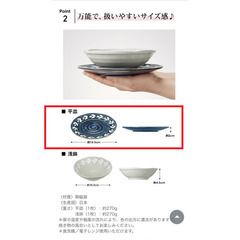 ファンケル オリジナル 美濃焼 平皿 2枚セットの画像