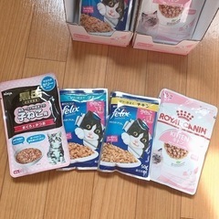 キャットフード パウチ　子ねこ用の画像