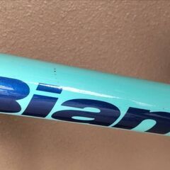 ビアンキLepre20インチ愛知県のみ Bianchi Lepre ビアンキ レプレ 20インチ 低走行 sai様専用 【2025年