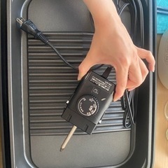 6/16〜6/18のみ！ぞうじるし 象印 ZOJIRUSHI ホ...