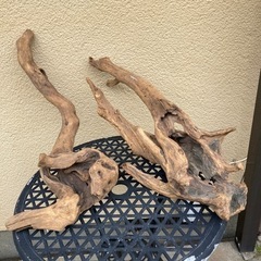 流木4つ