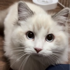 他撮り写真が欲しいので付き合って下さい！！