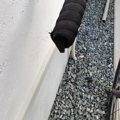 自転車　FUJI キッズロードバイク の画像