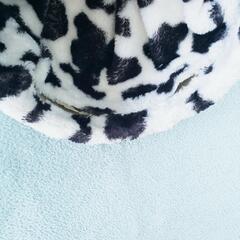 【受け渡し者決定】猫🐱 トンネルの画像