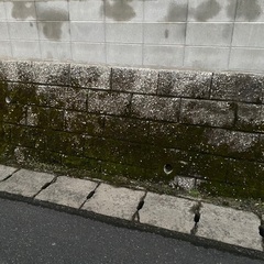 🏠家のちょっしたブロック・壁のお掃除いたします。 − 鹿児島県