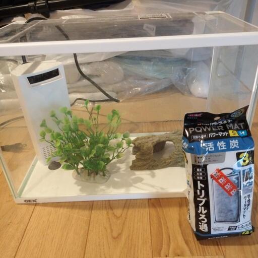 値下げ！！水槽　３０センチ　キット