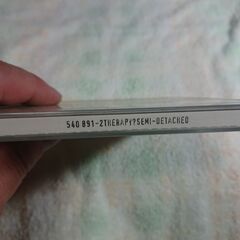 ❄　Therapy? – Semi-Detachedの画像