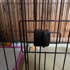 ペティオ 犬 ゲージ サークルの画像