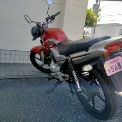 YBR125の画像