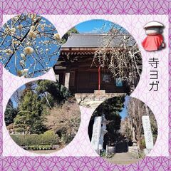 5月🧘寺ヨガ🧘の画像