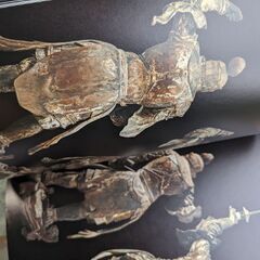 興福寺中金堂再建記念特別展　運慶の画像