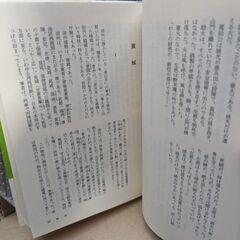 呉・三国志　長江燃ゆの画像