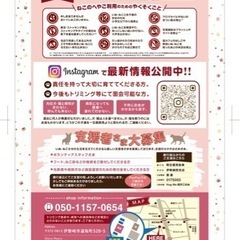 里親譲渡会のお知らせ🐶🐈 − 群馬県