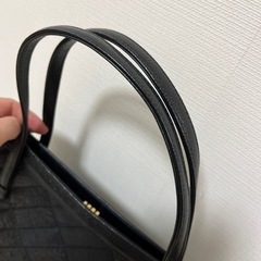 オーストリッチ　バッグの画像