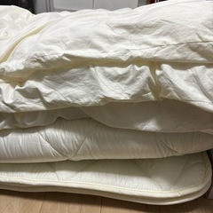 ニトリ・温度調整防ダニ2点セットの画像