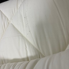 ニトリ・温度調整防ダニ2点セットの画像