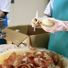 食品工場でタマネギなどの皮むきのお仕事です！午前中の短時間。　勤務日、ご希望伺います。（株式会社マスコ、宮崎市赤江）の画像