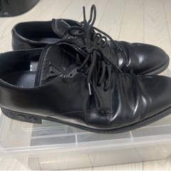 ルイヴィトンシューズ　LOUISVUITTONの画像