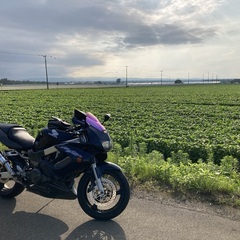 VTR1000F 逆車 H13年式　交換も検討中です。