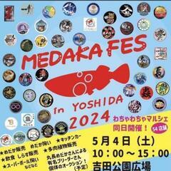 🌷ஐ೨🌸はるいろめだか🌸ஐ೨🌷ブラックダイヤ🐟激安販売🉐ALL1000円🉐の画像