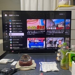 テレビ