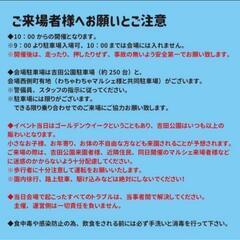 🌷ஐ೨🌸はるいろめだか🌸ஐ೨🌷ミントスター月虹🐟激安販売🉐ALL1000円🉐の画像