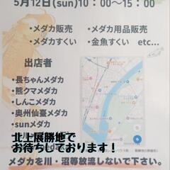 北上展勝地　メダカ販売会