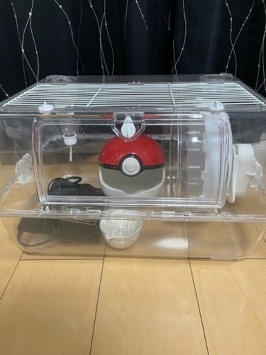 ルーミィセット