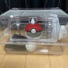 ルーミィセット
