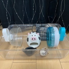 ルーミィセットの画像