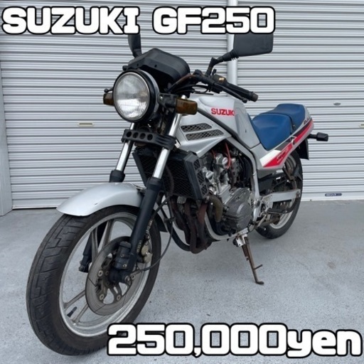 SUZUKI GF250 車体 人気❗️全国配送可能❗️