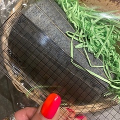 信楽焼の画像
