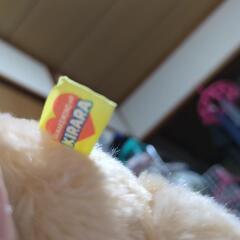 なまけものキララ　ぬいぐるみの画像