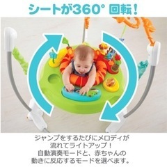 【決まりました】レインフォレスト・ジャンパルーⅡの画像