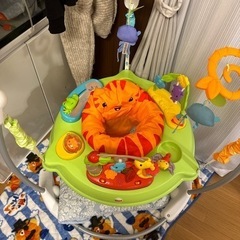 【決まりました】レインフォレスト・ジャンパルーⅡの画像