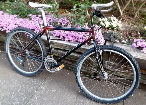 BRIDGESTONE ビンテージ・ブリヂストン・ワイルドウエストMTB