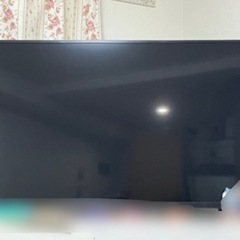 家電 テレビ 液晶テレビ