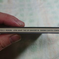 ❄　POISON/LOOK WHAT THE CAT DRAGGED IN 　ポイズン/ルック・ホワット・ザ・キャット・ドラッグド・イン　邦題 『ポイズン・ダメージ』の画像