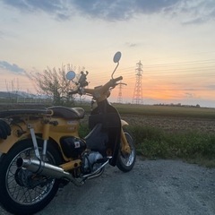 バイク ホンダ リトルカブ