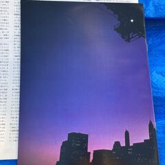 ☆LP/ビリージョエル BILLY JOEL ナイロン・カーテン THE NYLON CURTAIN◆の画像