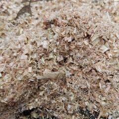 ナチュラルウッドチップの画像