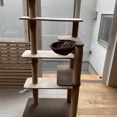 カインズ フィットネス、トレーニング(スポーツ)の中古が安い
