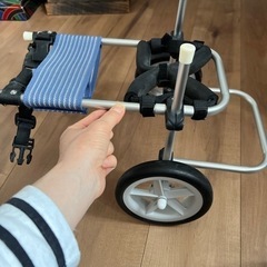 スポーツ フィットネス、トレーニングの画像