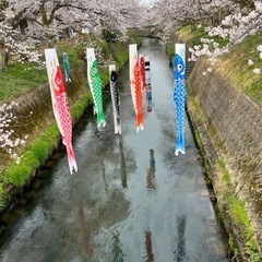 レイキ体験会(お一人からでも大丈夫です！) − 富山県