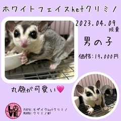 ホワイトフェイスhetクリミノ
