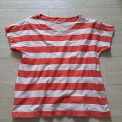 ラゴム ボーダーTシャツM 魔女の宅急便トンボ ウォーリー