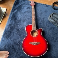 楽器 弦楽器、ギター