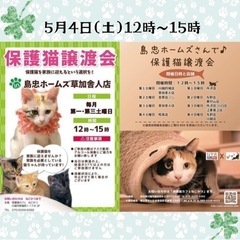 5/4（土）島忠ホームズ草加舎人店保護猫譲渡会